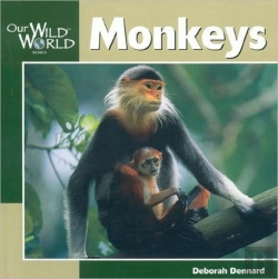 Bertrand.pt - Monkeys