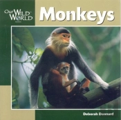 Monkeys