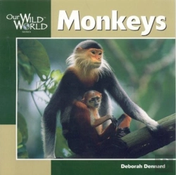 Bertrand.pt - Monkeys