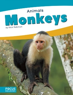 Bertrand.pt - Monkeys