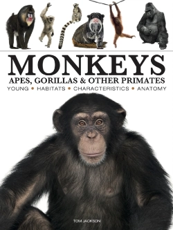 Bertrand.pt - Monkeys