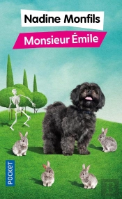 Monsieur Émile