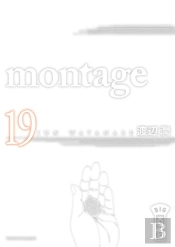 Montage T19