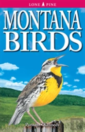 Montana Birds