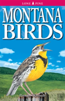 Bertrand.pt - Montana Birds