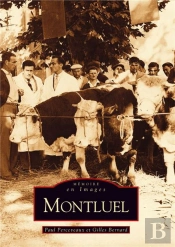 Montluel