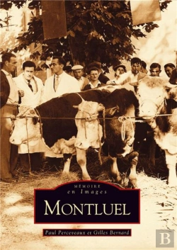 Bertrand.pt - Montluel