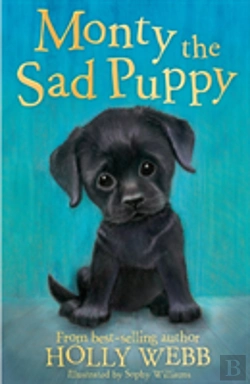 Bertrand.pt - Monty The Sad Puppy