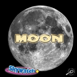 Bertrand.pt - Moon