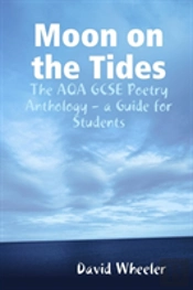 Moon On The Tides