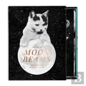 Moonbeams Greeting Card Assortment