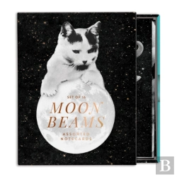 Bertrand.pt - Moonbeams Greeting Card Assortment