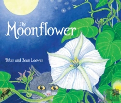 Bertrand.pt - Moonflower
