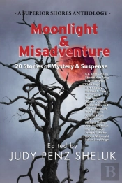 Moonlight  Amp  Misadventure: 20 Stories
