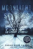 Moonlight Shadows On The Winter Snow