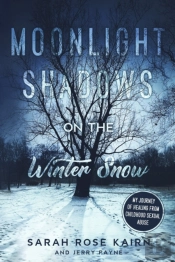 Moonlight Shadows On The Winter Snow