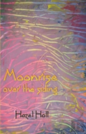 Moonrise Over The Siding