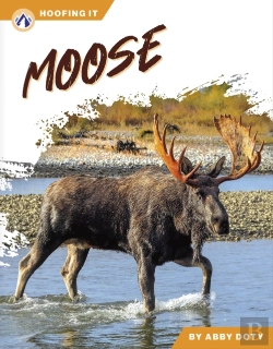 Bertrand.pt - Moose