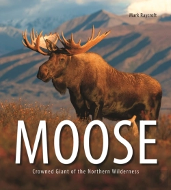 Bertrand.pt - Moose