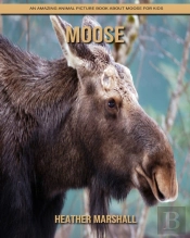 Moose