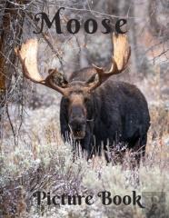 Moose Picture Book