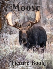 Moose Picture Book