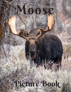 Bertrand.pt - Moose Picture Book