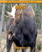 Moose