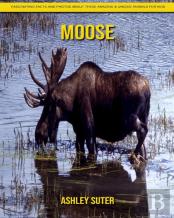 Moose