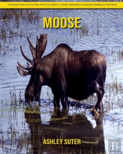Bertrand.pt - Moose