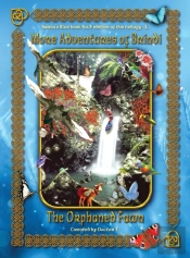 More Adventures Of Brindi - The Orphaned