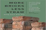More Bricks Less Straw