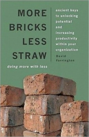 More Bricks Less Straw