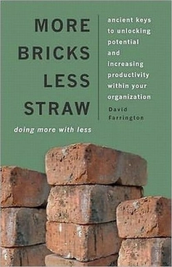 Bertrand.pt - More Bricks Less Straw