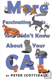 More Fascinating Facts You Didn'T Know About Your Cat