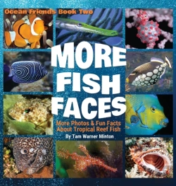 Bertrand.pt - More Fish Faces: More Photos And Fun Fac