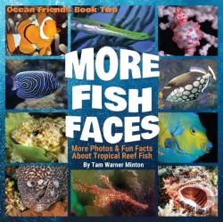 Bertrand.pt - More Fish Faces