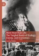 More Heat Than Life: The Tangled Roots Of Ecology, Energy, And Economics