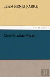 More Hunting Wasps