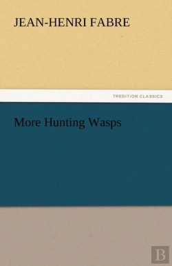 Bertrand.pt - More Hunting Wasps