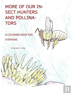 Bertrand.pt - More Of Our Insect Hunters And Pollinators