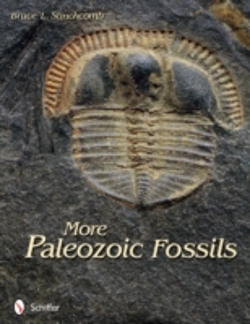 Bertrand.pt - More Paleozoic Fossils