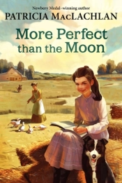 More Perfect Than The Moon