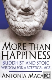 More Than Happiness