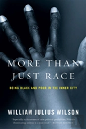 More Than Just Race