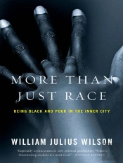 More Than Just Race