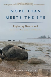 More Than Meets The Eye