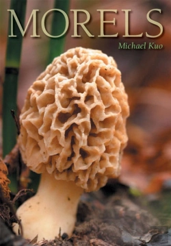 Bertrand.pt - Morels