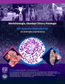 Bertrand.pt - Morfofisiología, Abordaje Clínico Y Patología Del Aparato Reproductor En Animales Domésticos