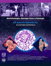 Morfofisiología, Abordaje Clínico Y Patología Del Aparato Reproductor En Animales Domésticos